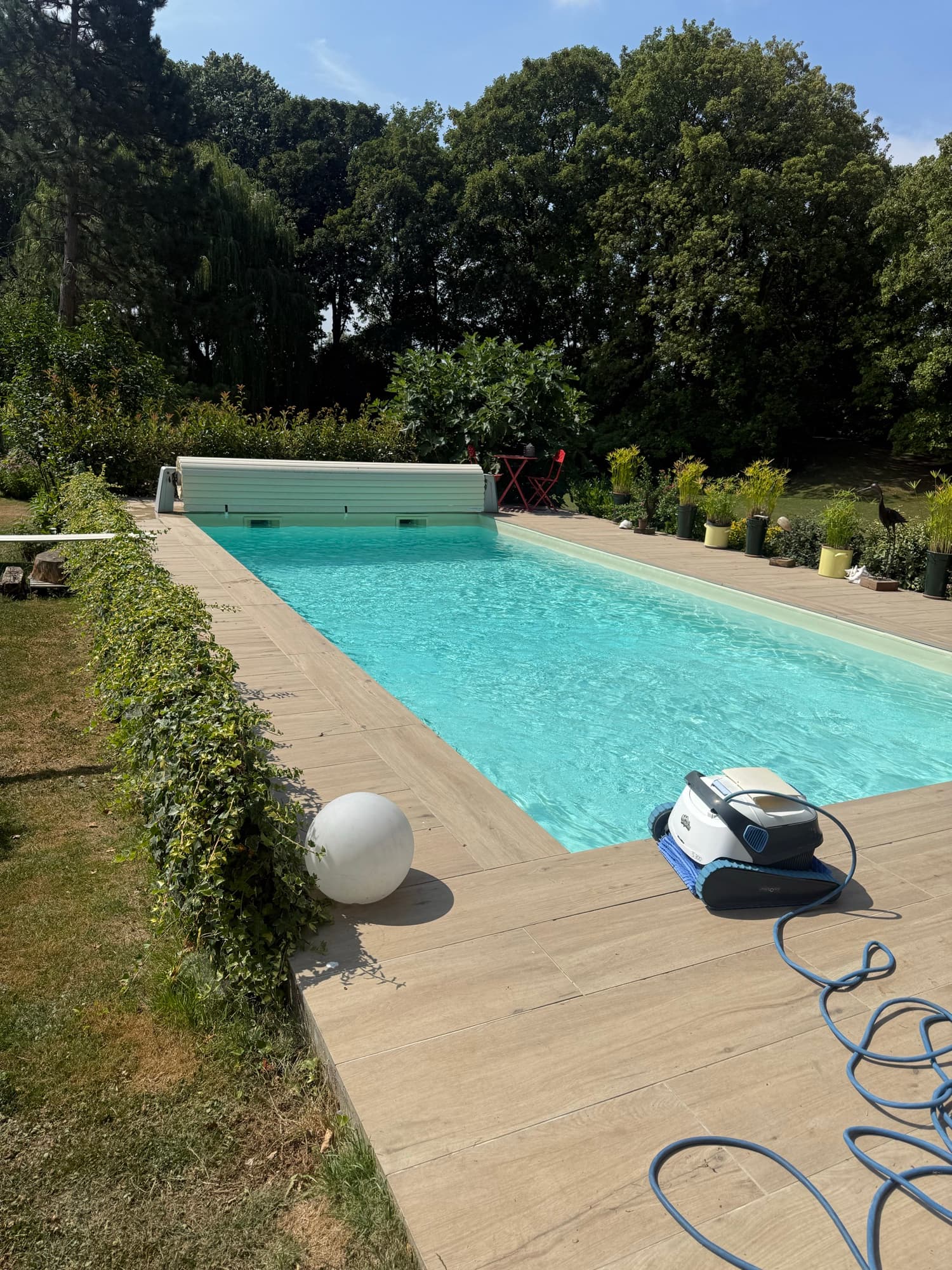 Piscine extérieure aménagée dans un jardin par Bâti Pool